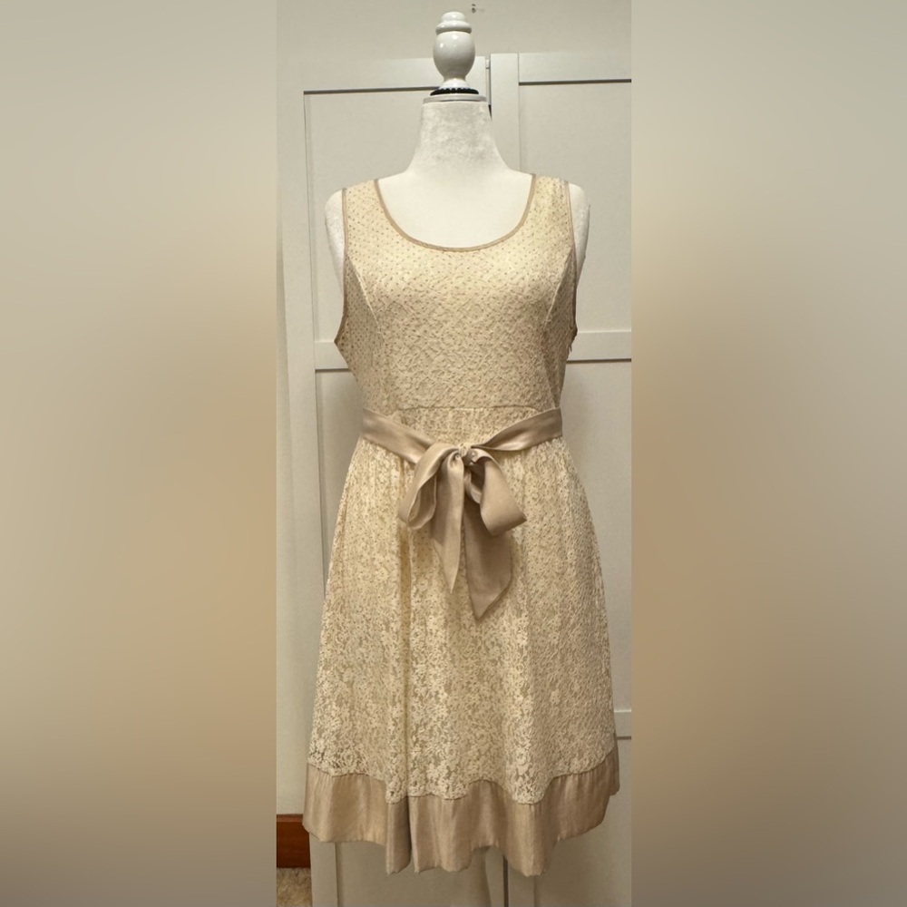 A’reve Sleeveless Embellished Lace Dress